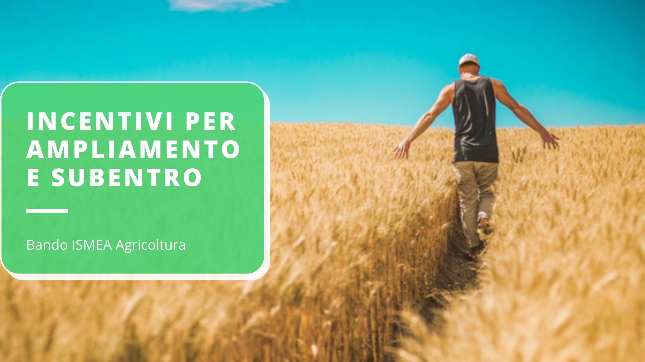 bando-ismea---incentivi-per-ampliamento-e-subentro-in-agricoltura
