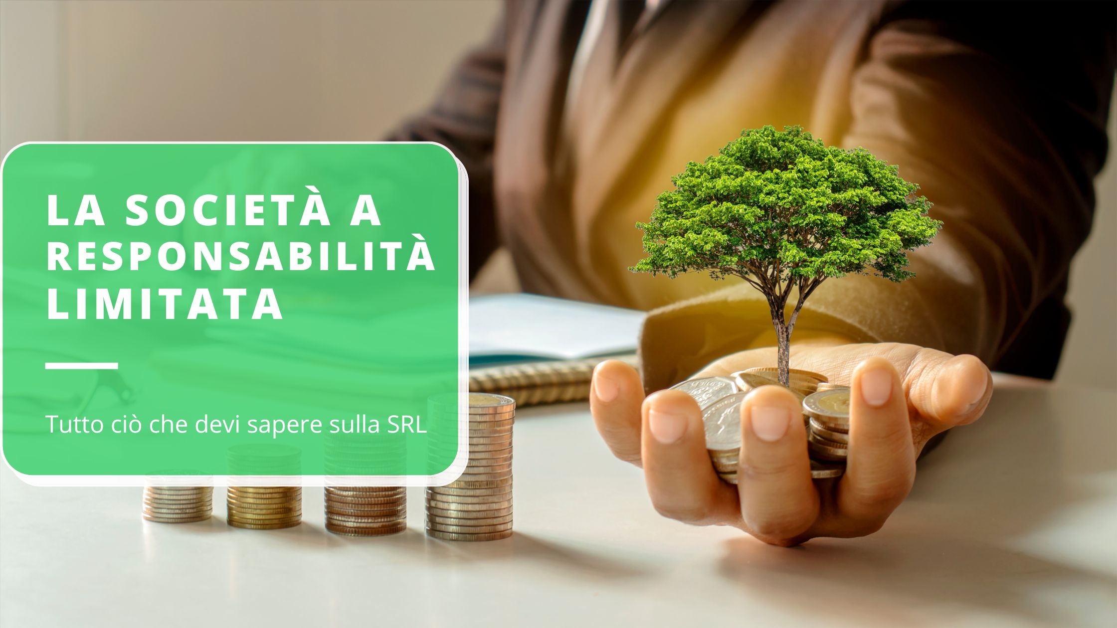 la-societ-a-responsabilit-limitata-srl-tutto-ci-che-devi-sapere