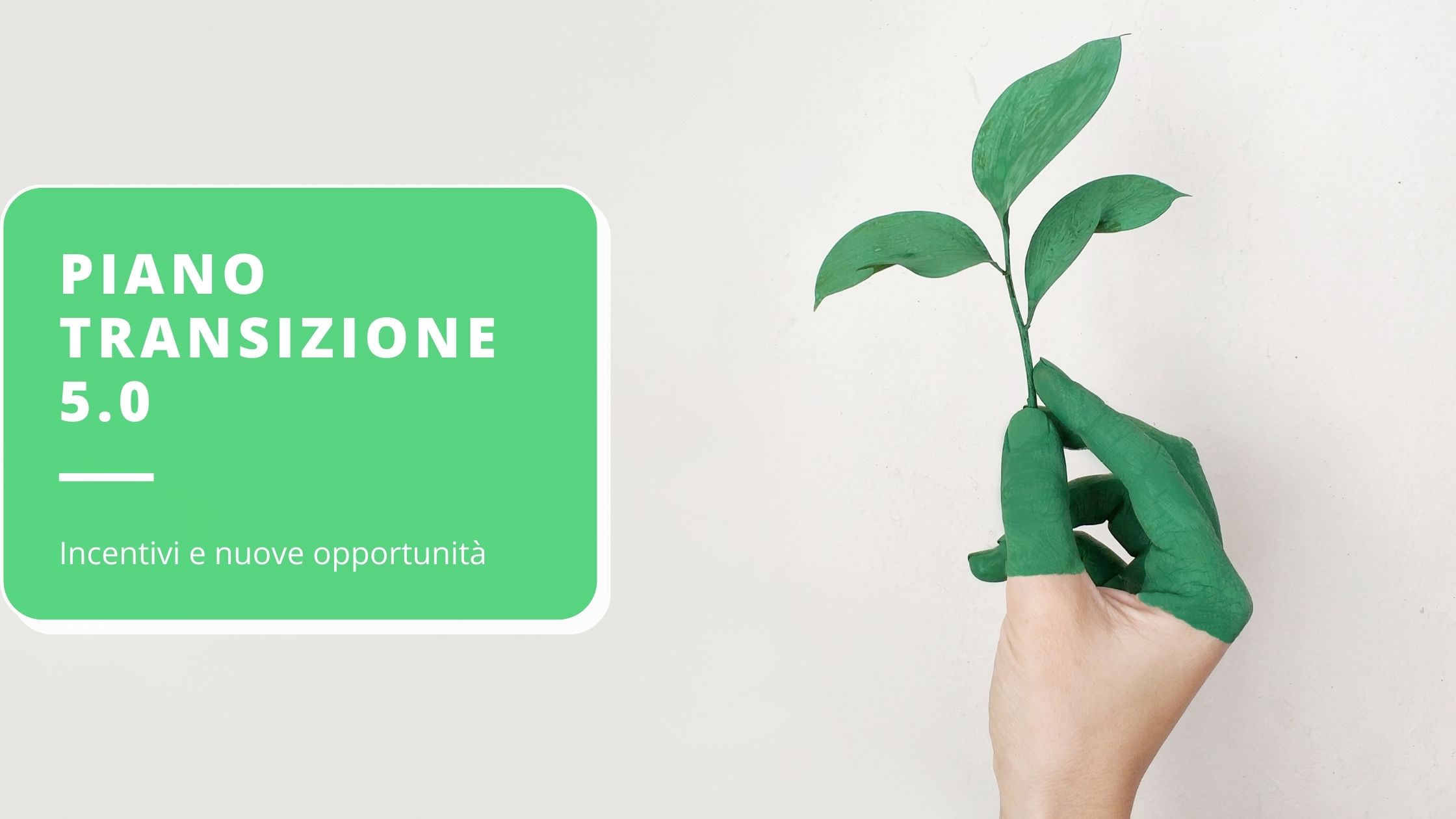 piano-transizione-50-guida-completa-agli-incentivi-e-alle-opportunit-di-trasformazione